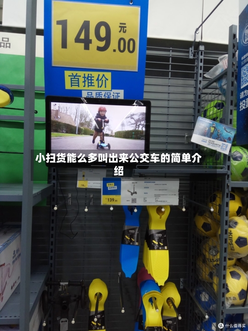 小扫货能么多叫出来公交车的简单介绍-第3张图片