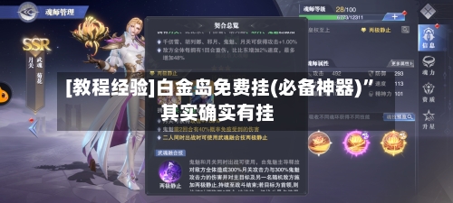[教程经验]白金岛免费挂(必备神器)	”其实确实有挂-第1张图片