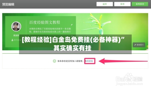 [教程经验]白金岛免费挂(必备神器)”其实确实有挂-第2张图片