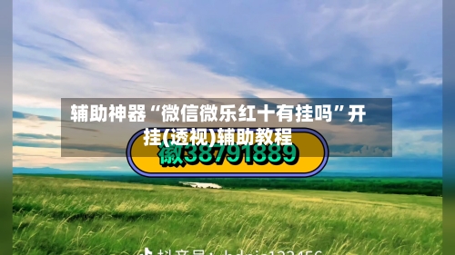 辅助神器“微信微乐红十有挂吗”开挂(透视)辅助教程-第3张图片