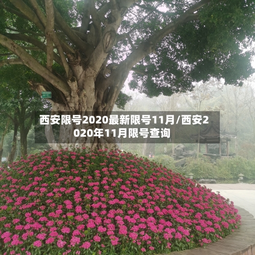 西安限号2020最新限号11月/西安2020年11月限号查询-第2张图片