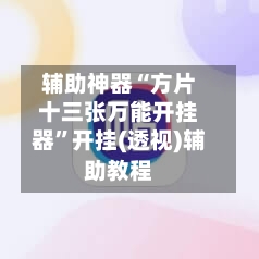 辅助神器“方片十三张万能开挂器”开挂(透视)辅助教程-第2张图片