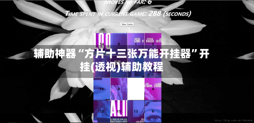 辅助神器“方片十三张万能开挂器”开挂(透视)辅助教程-第1张图片