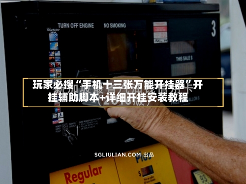 玩家必搜“手机十三张万能开挂器”开挂辅助脚本+详细开挂安装教程-第2张图片