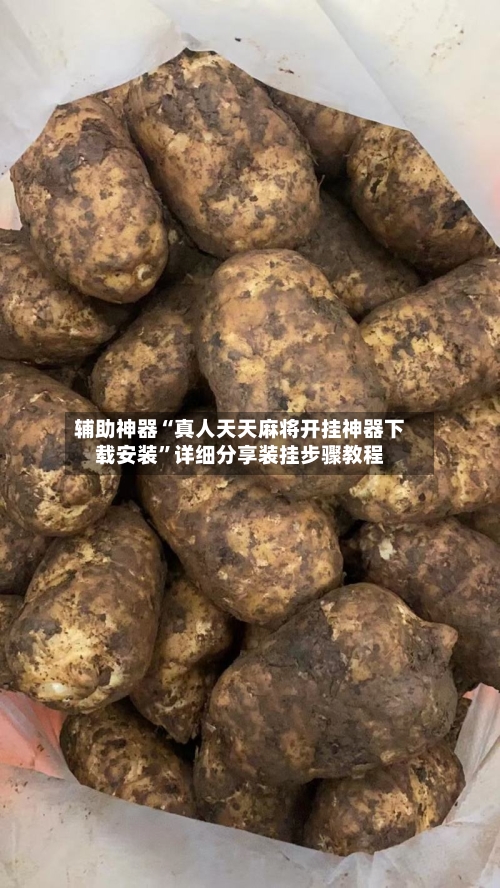 辅助神器“真人天天麻将开挂神器下载安装	”详细分享装挂步骤教程-第1张图片