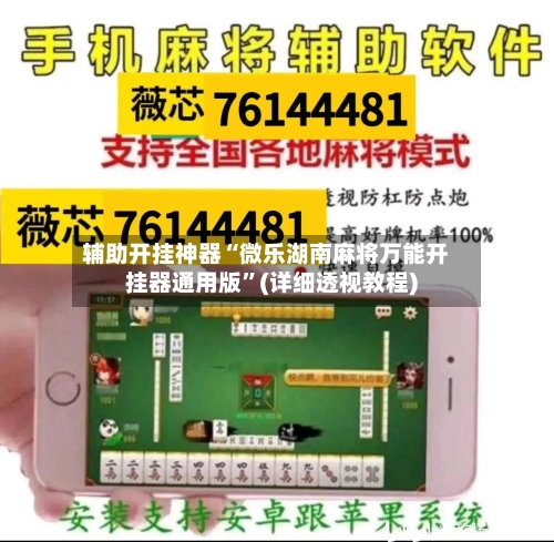 辅助开挂神器“微乐湖南麻将万能开挂器通用版”(详细透视教程)-第1张图片