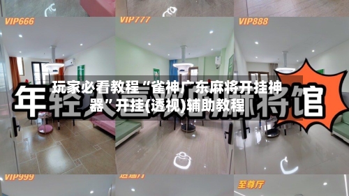 玩家必看教程“雀神广东麻将开挂神器”开挂(透视)辅助教程-第1张图片