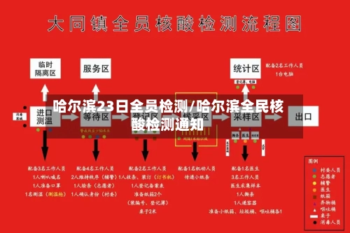 哈尔滨23日全员检测/哈尔滨全民核酸检测通知-第1张图片