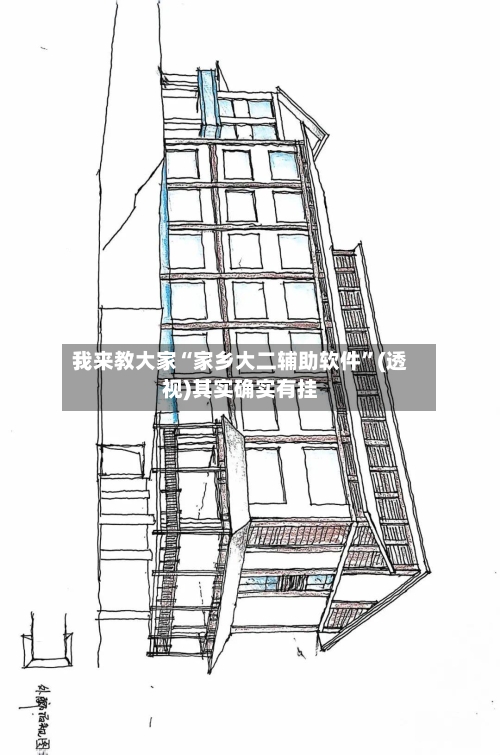 我来教大家“家乡大二辅助软件”(透视)其实确实有挂-第1张图片
