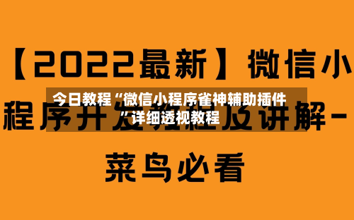 今日教程“微信小程序雀神辅助插件”详细透视教程-第1张图片