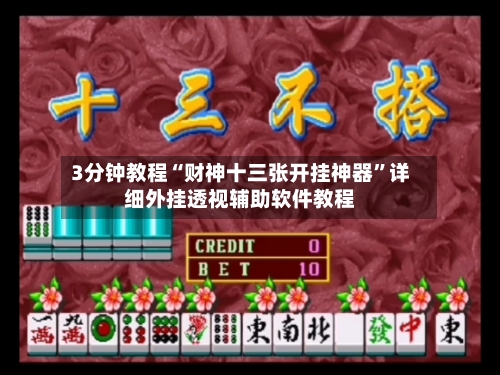 3分钟教程“财神十三张开挂神器”详细外挂透视辅助软件教程-第1张图片