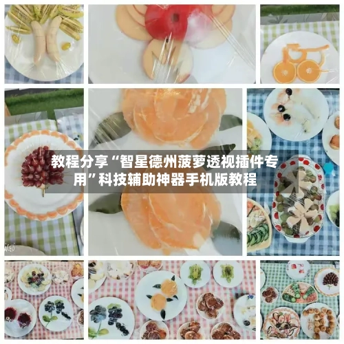 教程分享“智星德州菠萝透视插件专用”科技辅助神器手机版教程-第1张图片