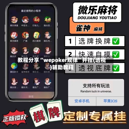 教程分享“wepoker规律”开挂(透视)辅助教程-第1张图片