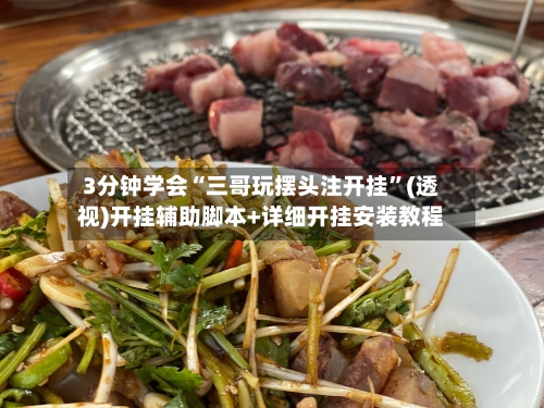 3分钟学会“三哥玩摆头注开挂”(透视)开挂辅助脚本+详细开挂安装教程-第1张图片