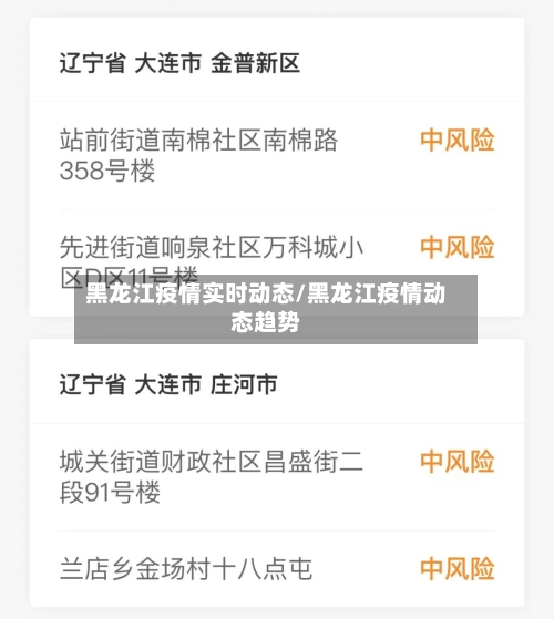 黑龙江疫情实时动态/黑龙江疫情动态趋势-第1张图片