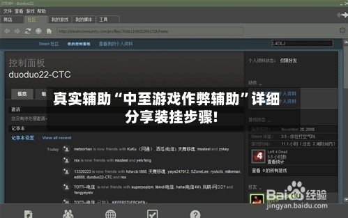真实辅助“中至游戏作弊辅助”详细分享装挂步骤!-第1张图片