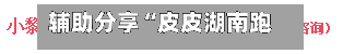辅助分享“皮皮湖南跑胡子确实真的有挂”科技辅助神器手机版教程-第1张图片