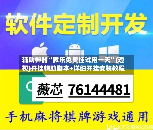 辅助神器“微乐免费挂试用一天”(透视)开挂辅助脚本+详细开挂安装教程-第1张图片