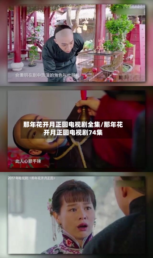 那年花开月正圆电视剧全集/那年花开月正圆电视剧74集-第1张图片