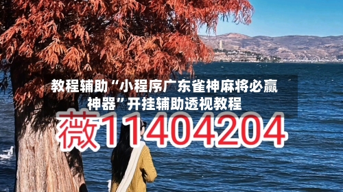 教程辅助“小程序广东雀神麻将必赢神器”开挂辅助透视教程-第1张图片