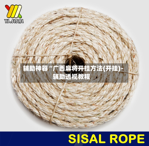 辅助神器“广西麻将开挂方法(开挂)-辅助透视教程-第1张图片