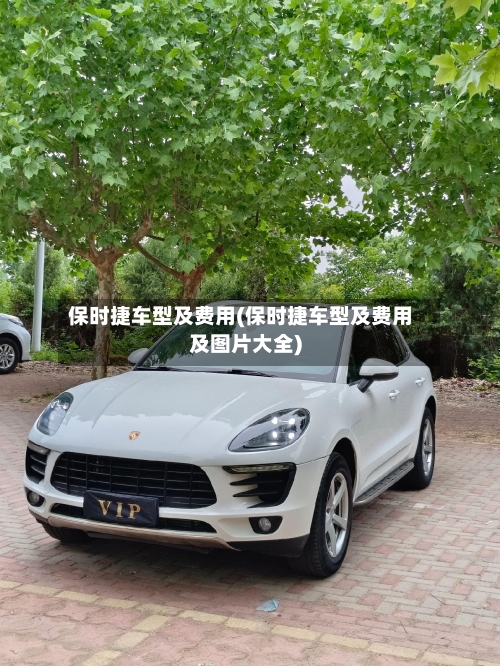 保时捷车型及费用(保时捷车型及费用及图片大全)-第1张图片