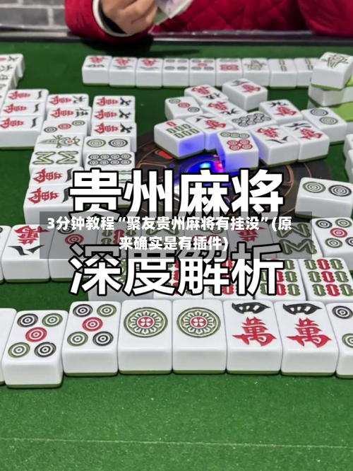 3分钟教程“聚友贵州麻将有挂没”(原来确实是有插件)-第1张图片
