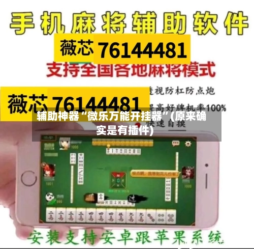 辅助神器“微乐万能开挂器”(原来确实是有插件)-第1张图片
