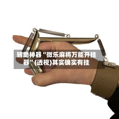 辅助神器“微乐麻将万能开挂器”(透视)其实确实有挂-第1张图片