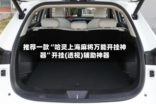 推荐一款“哈灵上海麻将万能开挂神器	”开挂(透视)辅助神器-第1张图片