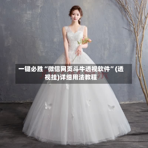 一键必胜“微信网页斗牛透视软件”(透视挂)详细用法教程-第1张图片