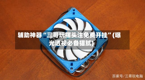 辅助神器“三哥玩摆头注免费开挂	”(曝光透视必备猫腻)-第1张图片