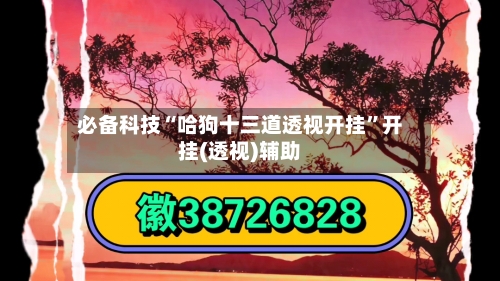 必备科技“哈狗十三道透视开挂	”开挂(透视)辅助-第1张图片