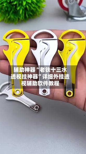 辅助神器“老铁十三水透视挂神器	”详细外挂透视辅助软件教程-第1张图片