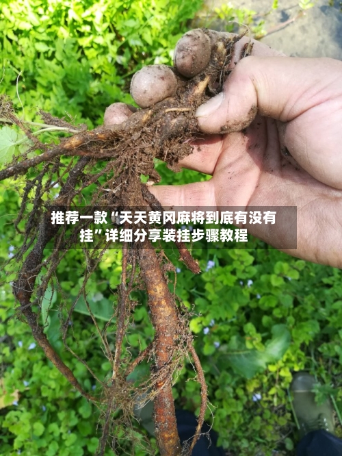 推荐一款“天天黄冈麻将到底有没有挂”详细分享装挂步骤教程-第1张图片