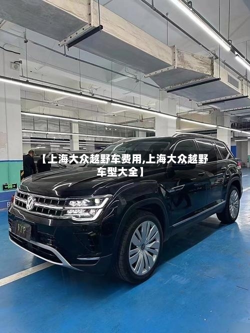 【上海大众越野车费用,上海大众越野车型大全】-第1张图片