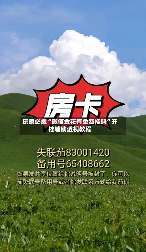 玩家必搜“微信金花有免费挂吗	”开挂辅助透视教程-第1张图片