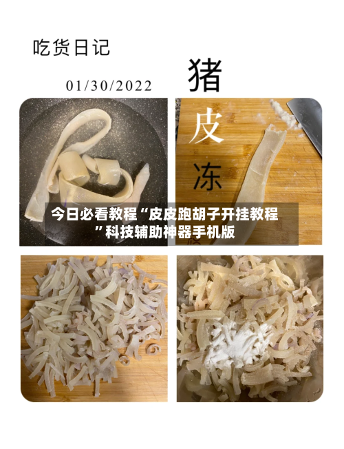 今日必看教程“皮皮跑胡子开挂教程”科技辅助神器手机版-第1张图片