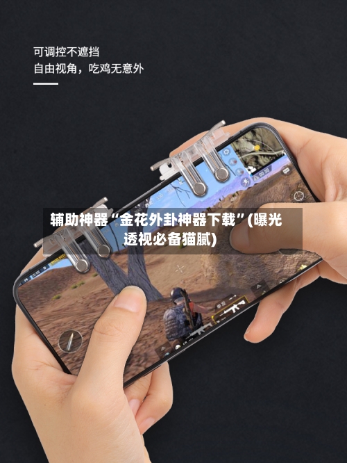 辅助神器“金花外卦神器下载”(曝光透视必备猫腻)-第1张图片