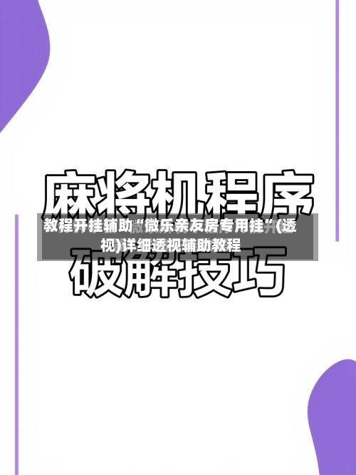 教程开挂辅助“微乐亲友房专用挂”(透视)详细透视辅助教程-第1张图片