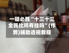 一键必胜“十三十三全民比鸡有挂吗	”(作弊)辅助透视教程-第1张图片