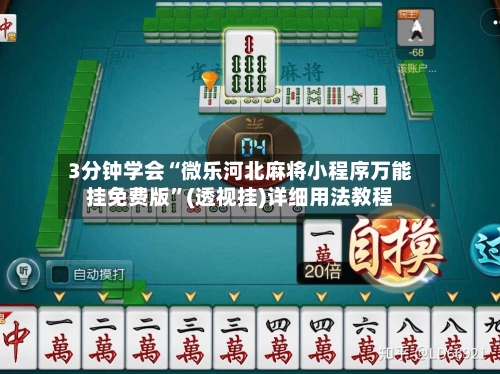 3分钟学会“微乐河北麻将小程序万能挂免费版”(透视挂)详细用法教程-第1张图片