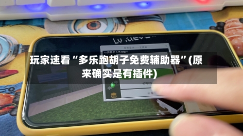 玩家速看“多乐跑胡子免费辅助器”(原来确实是有插件)-第1张图片