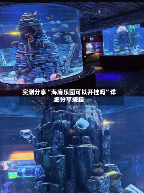 实测分享“海底乐园可以开挂吗	”详细分享装挂-第1张图片