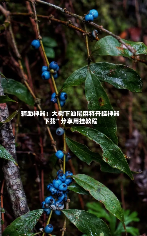 辅助神器：大树下汕尾麻将开挂神器下载”分享用挂教程-第1张图片