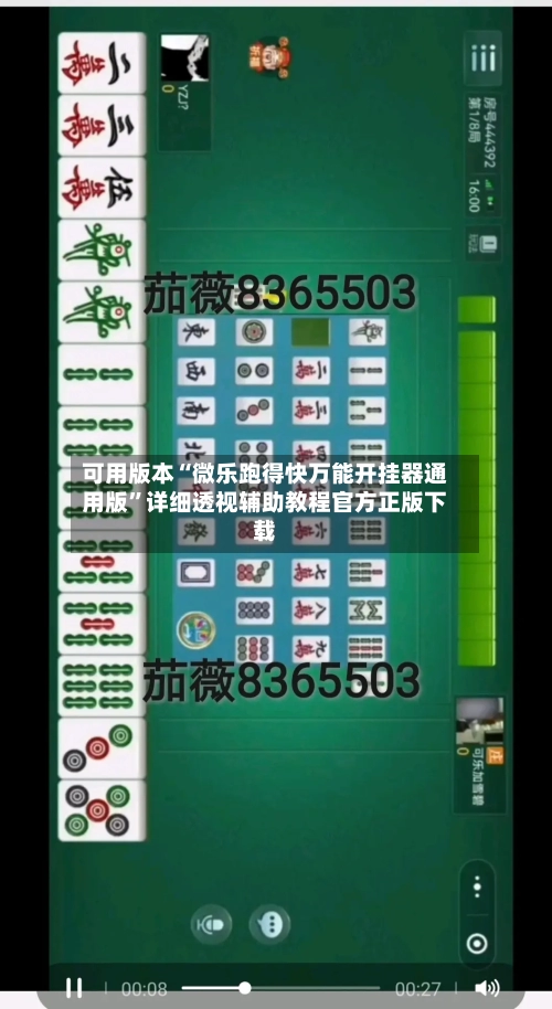 可用版本“微乐跑得快万能开挂器通用版	”详细透视辅助教程官方正版下载-第1张图片