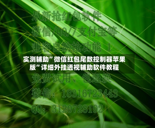 实测辅助”微信红包尾数控制器苹果版”详细外挂透视辅助软件教程-第1张图片