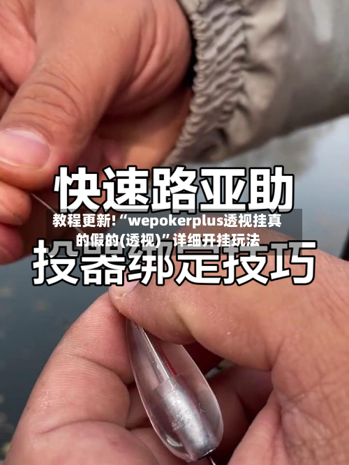 教程更新!“wepokerplus透视挂真的假的(透视)”详细开挂玩法-第1张图片