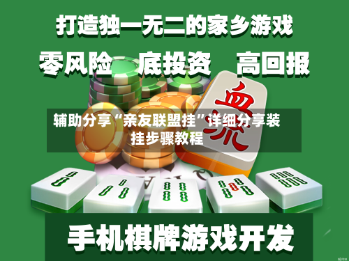 辅助分享“亲友联盟挂	”详细分享装挂步骤教程-第1张图片