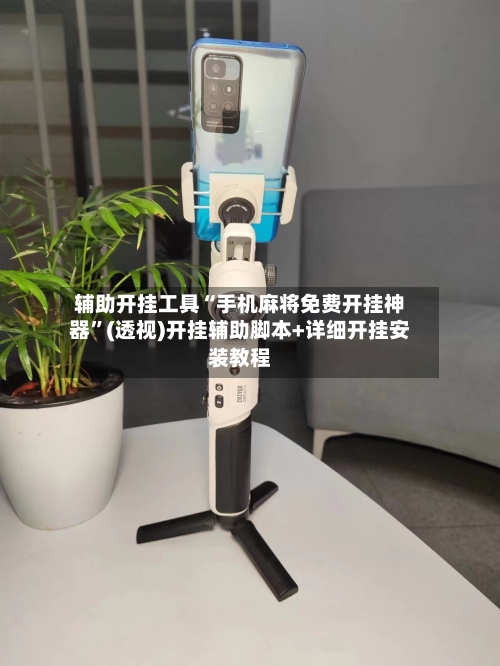 辅助开挂工具“手机麻将免费开挂神器”(透视)开挂辅助脚本+详细开挂安装教程-第1张图片